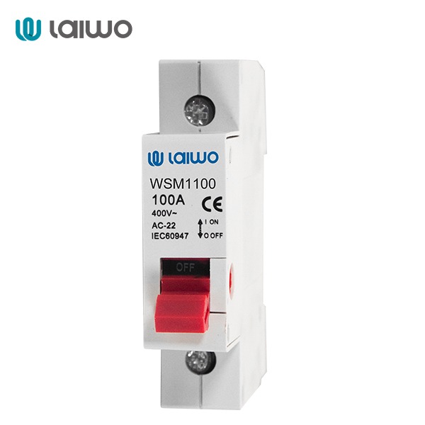 1 pole main switch-wosomelec